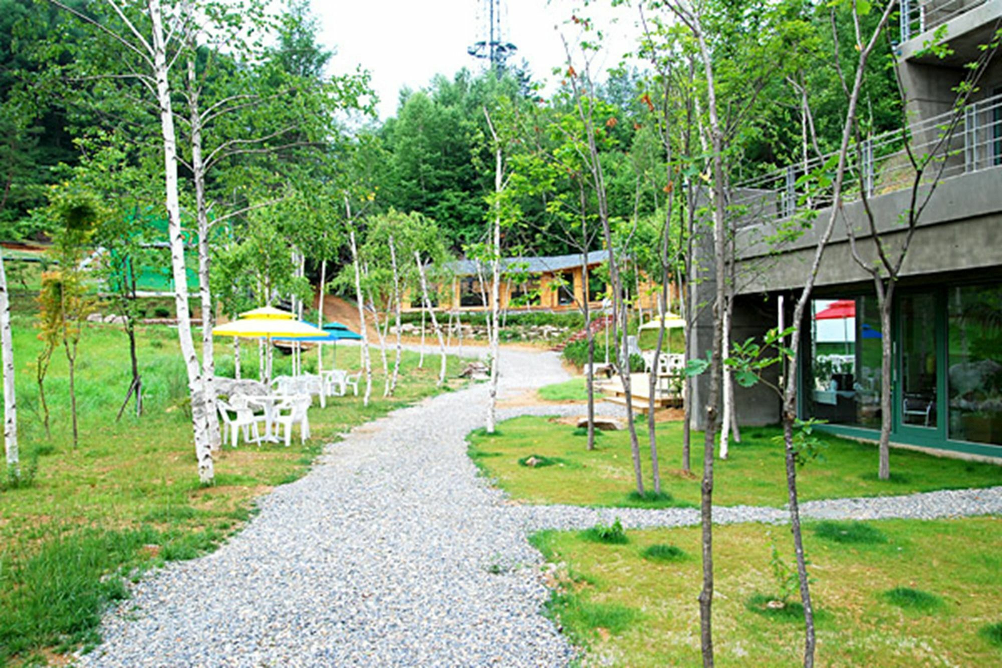 Pyeongchang The Sky Forest Hotel Exterior photo